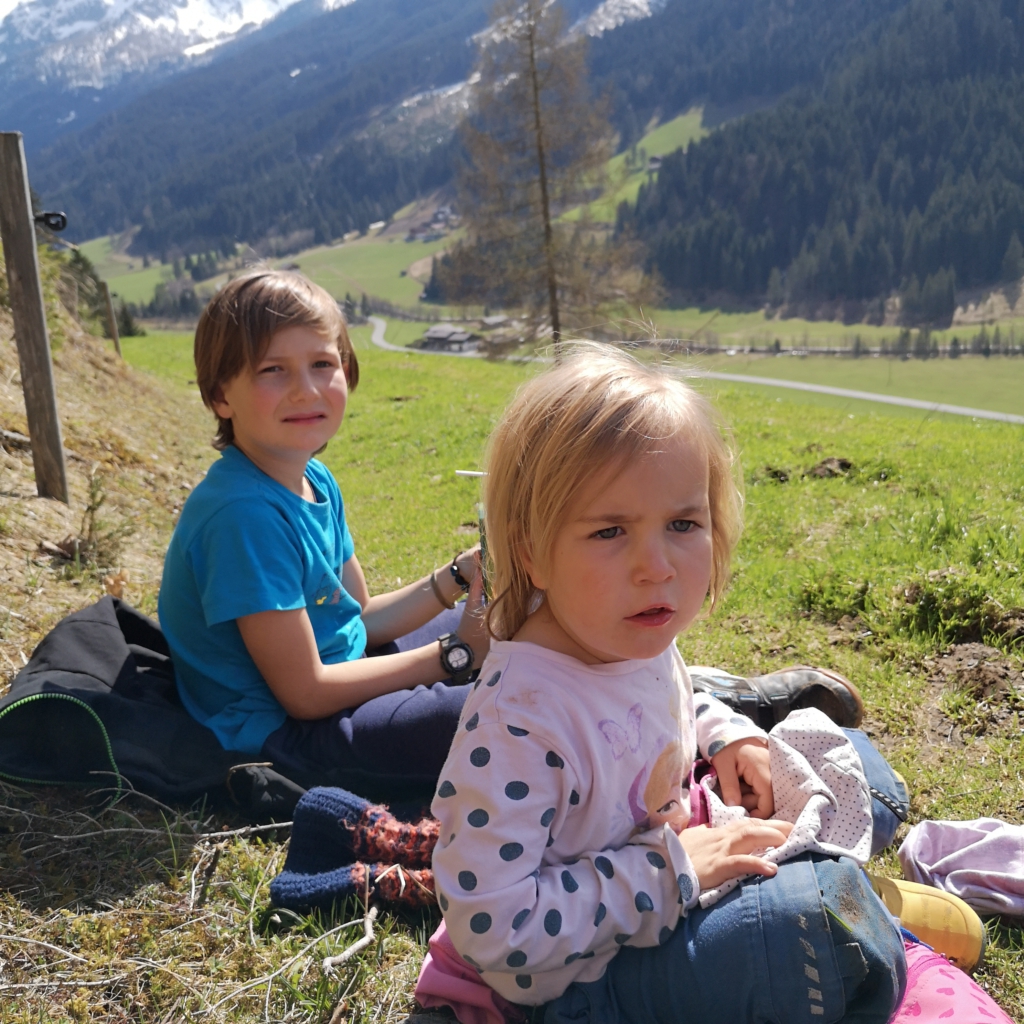 Chalets Schwabhof - Urlaub am Bio-Bauernhof in Kleinarl